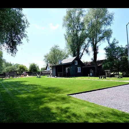 Domek Pod Wierzbami Nowy Dwor Gdanski Exterior photo